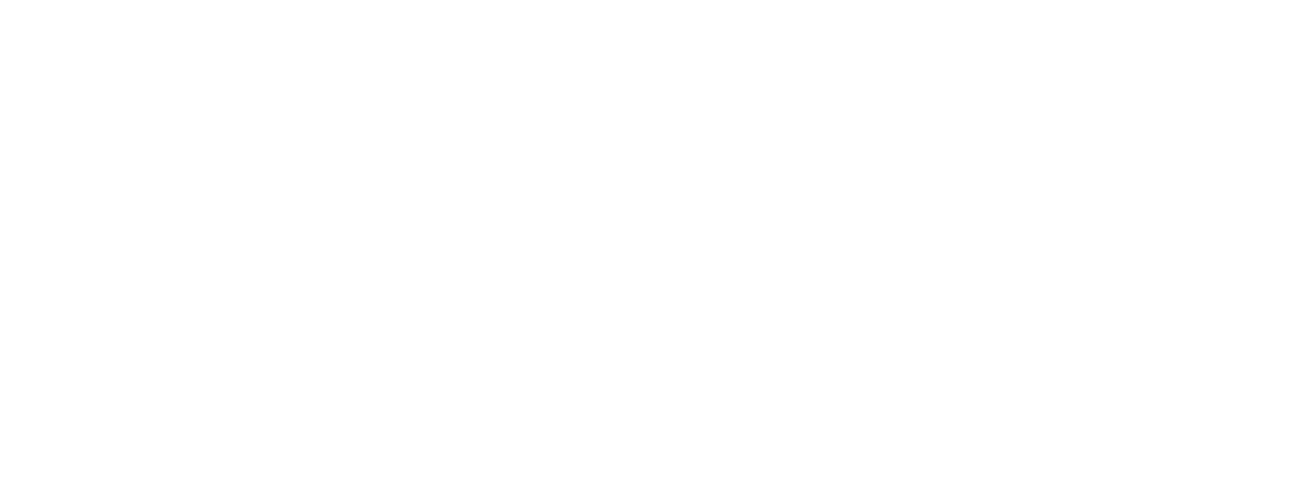 Nie Logo